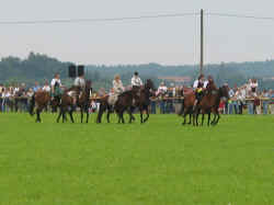 isen02_08.jpg (105375 Byte)