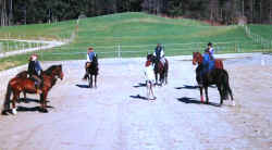 training03.jpg (79949 Byte)